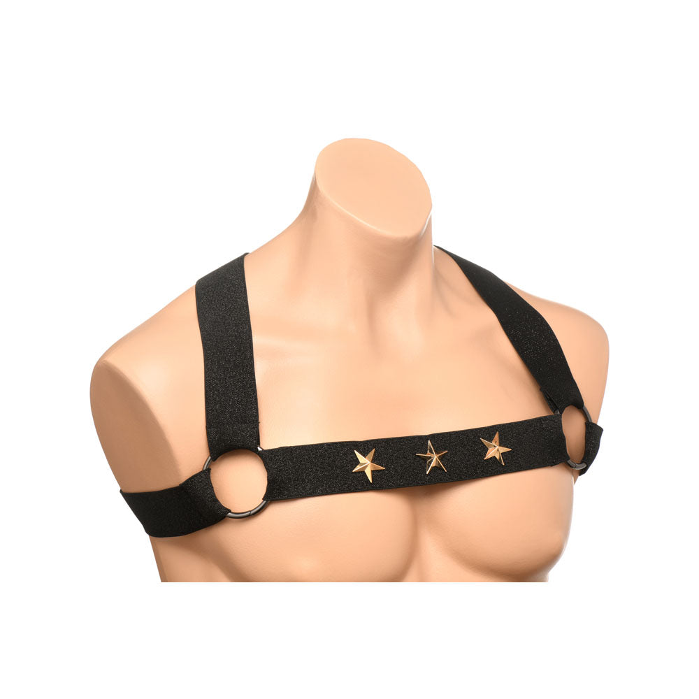 Star Boy Chest Harness w Arm Bands LXL