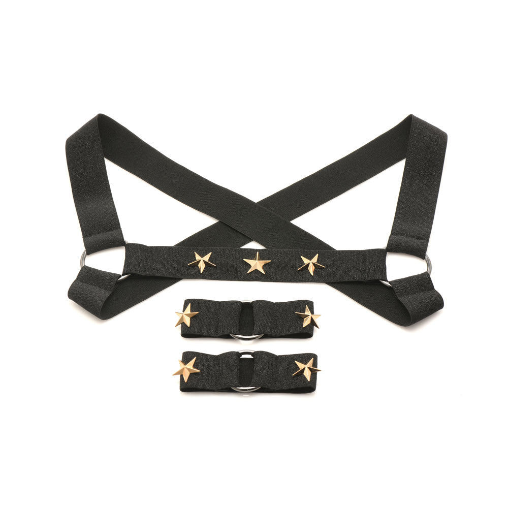 Star Boy Chest Harness w Arm Bands LXL