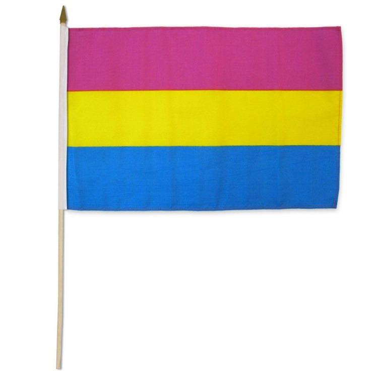 Pansexual 12" x 18" Flag