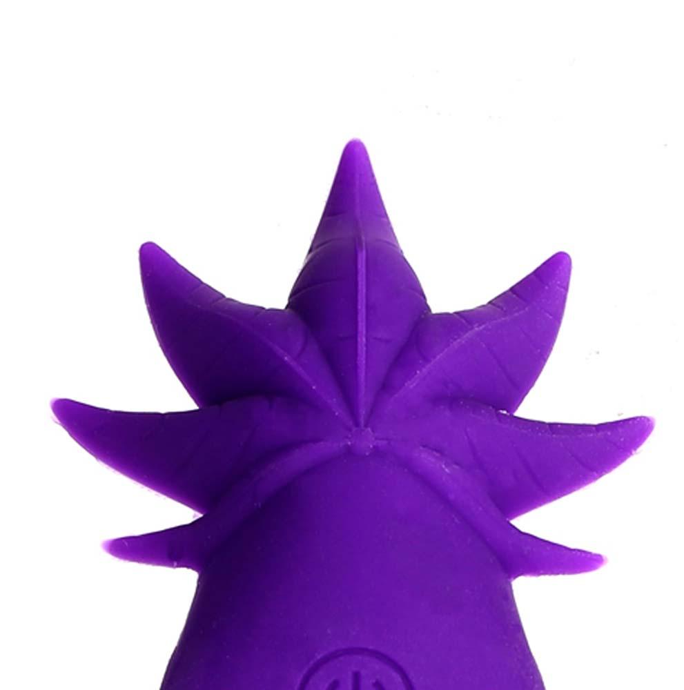 Sativa 10Function RC Panty Vibe w/ RC *